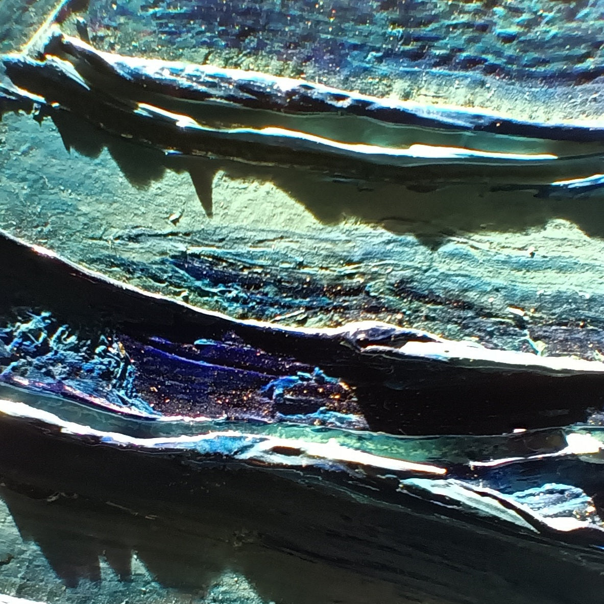 CREATING TEXTURE WITH IMPASTO OIL PAINTING - 4 PERSON WORKSHOP - BOURNEMOUTH - CHOOSE YOUR DATES & TIMES